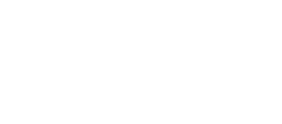 Transparent image of CEMS in place of the text of the DVD logo.