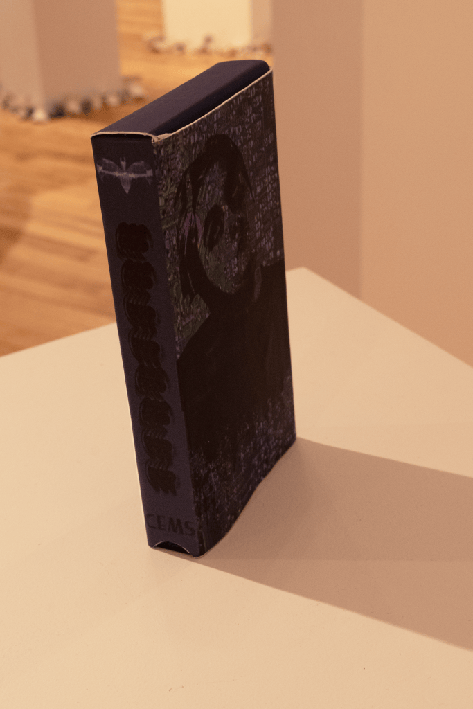 image of the backside of the digital collage in a form of a VHS
